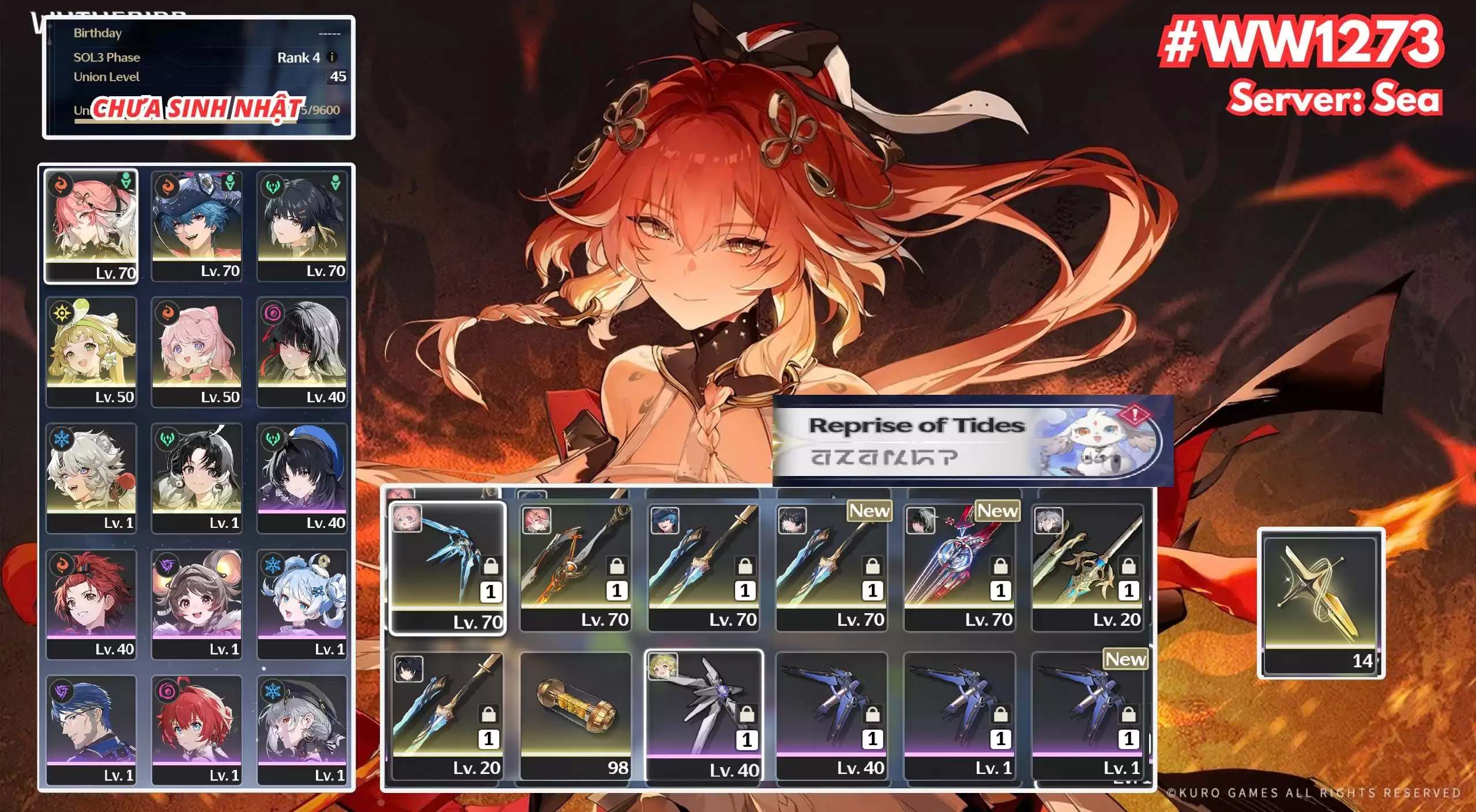 [ ACC VIP ] WW1273 changli trấn + brant + Chisa Trấn